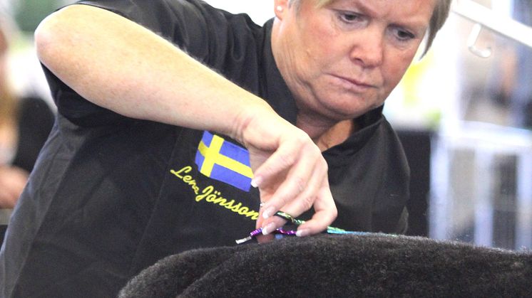Lena Jönsson är en av examinatorerna på den första certifieringen av hundfrisörer i Sverige