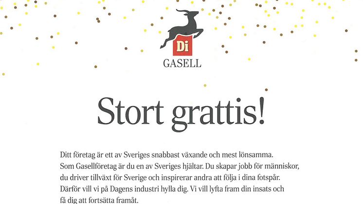 Våningen & Villan utsedd till Gasellföretag av Dagens Industri – igen!