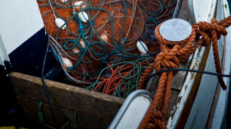 2013 års fiskekvoter för Östersjön nu klara