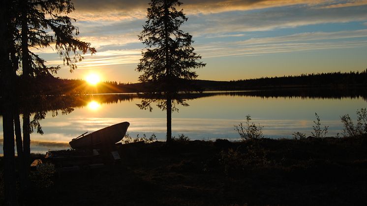 Flugfiske