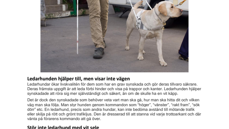 Ledarhundens dag 2017