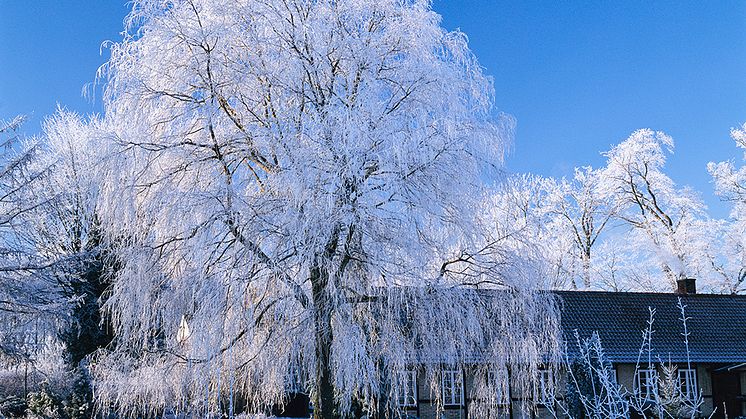 Värmesäkra ditt hem och spara tusenlappar i vinter