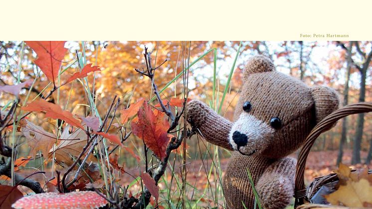 Mit Bärenherz durchs Jahr -  Der neue Bärenherz-Kalender ist da