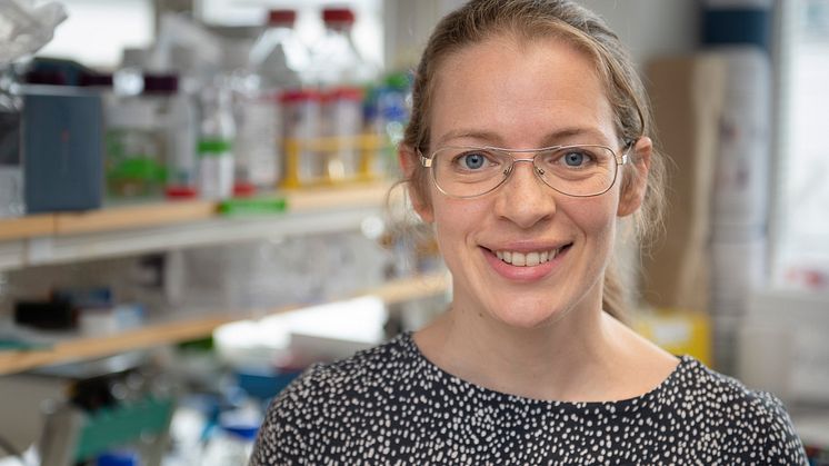 Fotograf: Ulf Sirborn, Karolinska Institutet .
