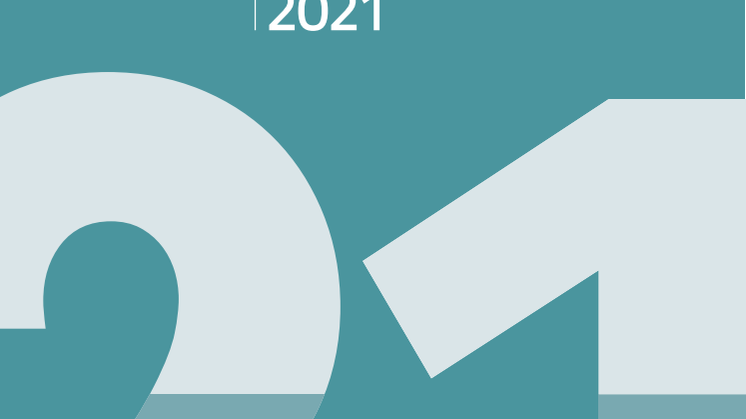 Jahresbericht 2021