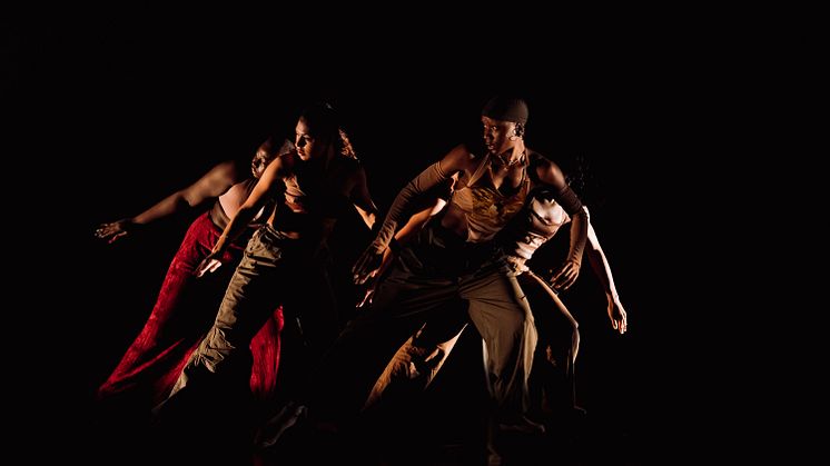 Company Nicolas Huchard - The barefoot diva