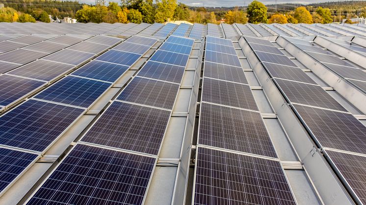 STIHL presenterar ny klimatstrategi – ska bli klimatneutrala 