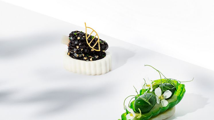 Variation svamp och tartlette av örter