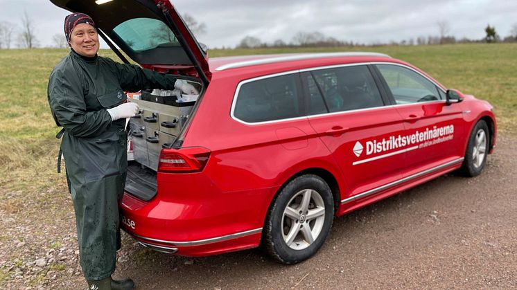 För Distriktsveterinärerna, som är en del av Jordbruksverket, innebar perioden juni–augusti betydligt fler behandlingar på beredskapstid jämfört med tidigare år. Foto: Distriktsveterinärerna.