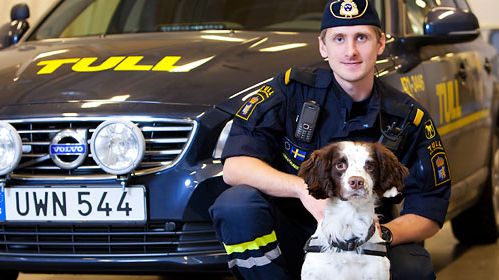 Zak är Årets narkotikasökhund 2014