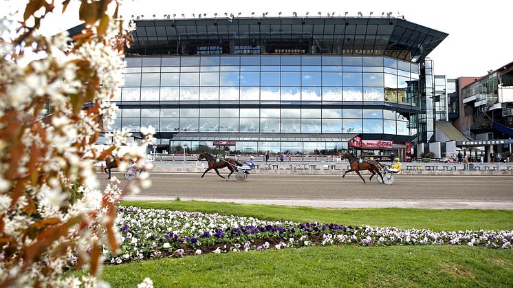Bistron på Solvalla öppnar under tävlingsdagar med start 9 oktober. Foto: TR Bild