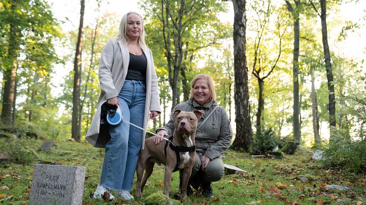 Hanna, Kerstin och hunden Milou 