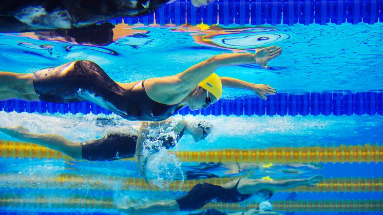 Välkommen till pressträff inför Swim Open Stockholm 
