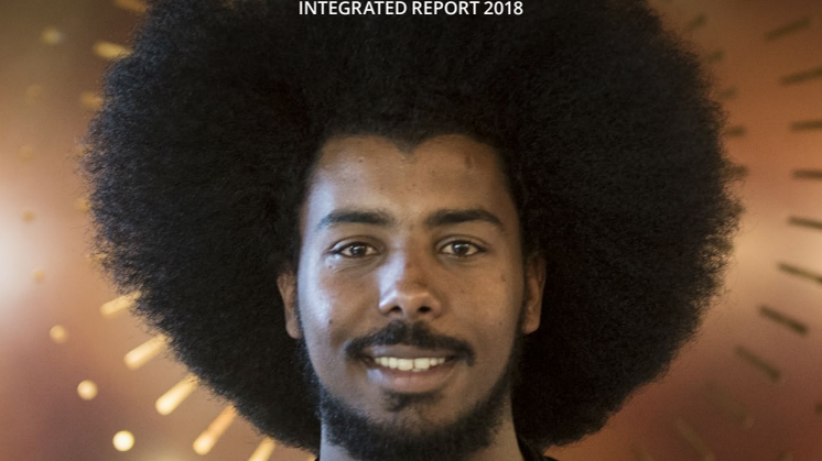 Swedfund Integrated Report 2018