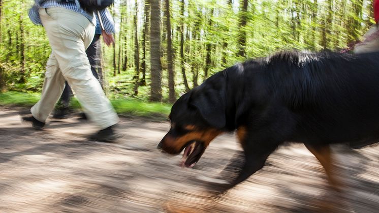 Vandra på Hovdala Vandringscentrum