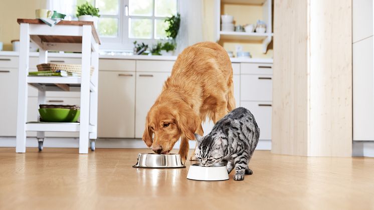 FRESSNAPF_Hund_Katze_Küche_300dpi_RGB