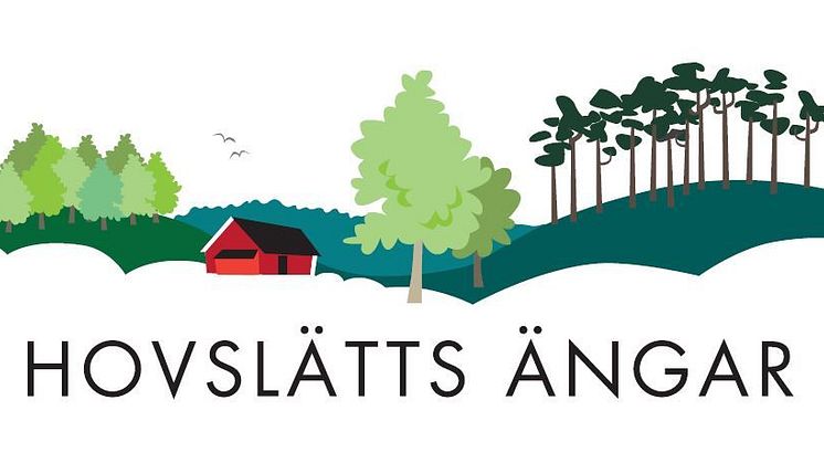 Fjärrvärme och stadsnät till Hovslätts Ängar 