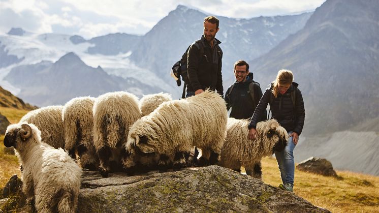 Zermatt, Stafelalp, Wanderung mit dem Hotelier vom Romantikhotel Julen