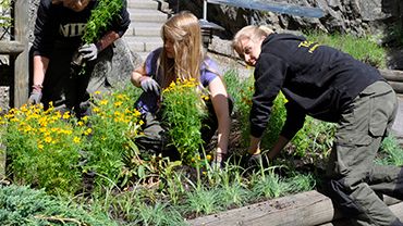 Himmelstalundsgymnasiet gör Kolmården ännu mer blomstrande