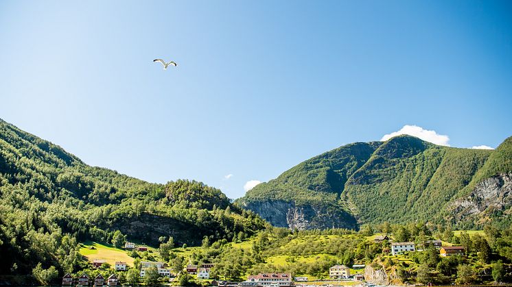 FLAM_MIX_SVERREHJORNEVIK-0840