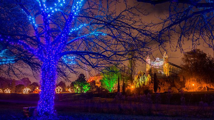 Christmas Garden Berlin