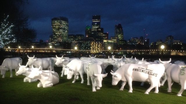 ​Have you herd? –Dairy Cows Hit the Capital