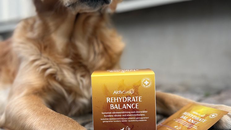 AktivSvea Rehydrate Balance
