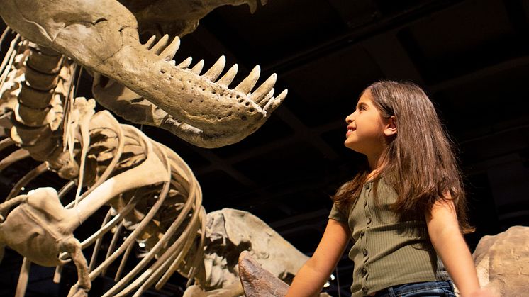 240411_nrm_vatten_trex_1659.jpg