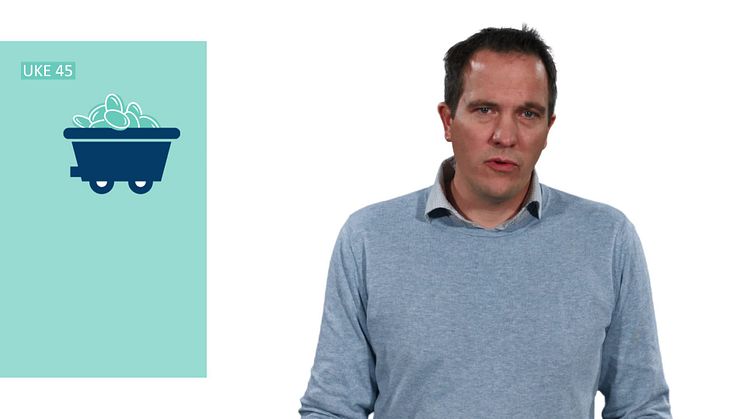 Nå avgjør makteliten i Europa fremtidens kraftpriser // LOS Energy kraftkommentar uke 45 