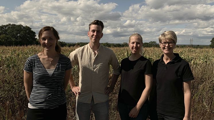 Från vänster: Caroline Eriksson, projektledare, Gustav West, leg. veterinär, Malin Collin, leg veterinär och Kristina Olsson, klinikchef och leg. veterinär. Foto: Sofia Rönneke