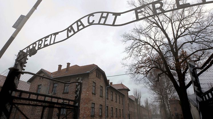 Auschwitz: Journey Into Hell