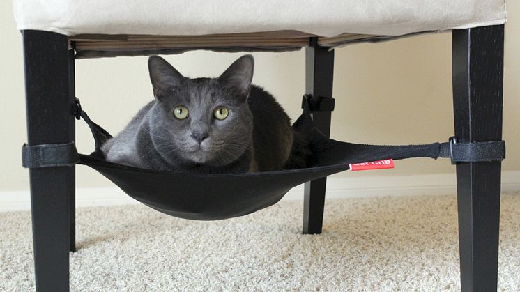 CatCrib, miljö4