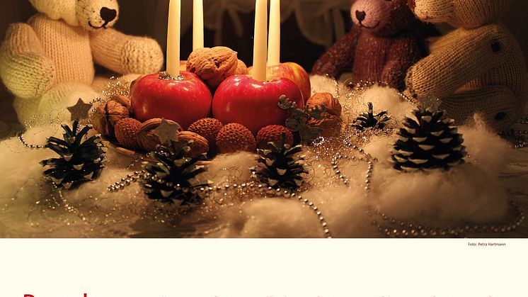 Mit Bärenherz durch das Jahr 2019 - Der neue Bärenherz-Kalender