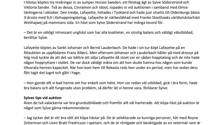 Lovande unghästar på Rekasta