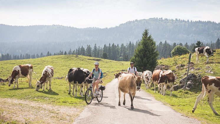 La Route Verte, Bassins Genferseegebiet