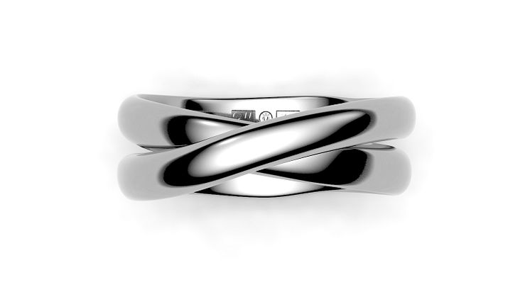 The Rings of Infinite Joy.jpg