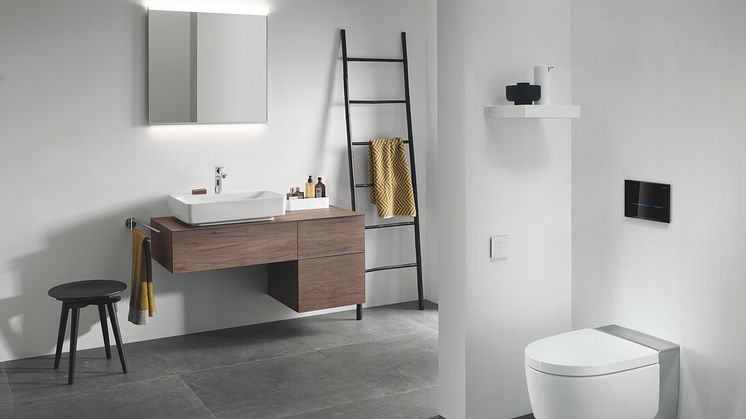 Seinä-wc pesuhuoneessa