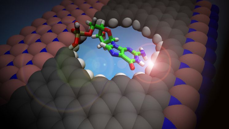En molekyls dipolmoment påverkar den elektriska potentialen i en atomkedja och ändrar därmed den elektriska strömmen i materialet.