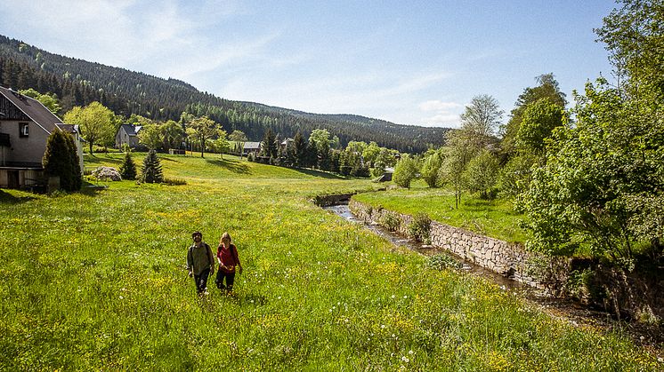 Wandern im Erzgebirge 