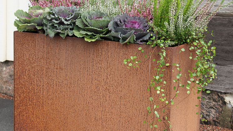 Flexigardens Cortenkrukor har en mycket tålig yta som bara blir vackrare med tiden