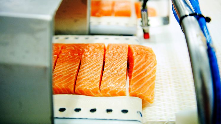 Norwegian salmon farming sees continued drop in antibiotics use