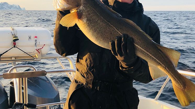 UK Skrei chefs 3