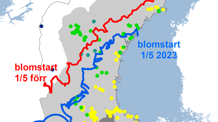 blå2023