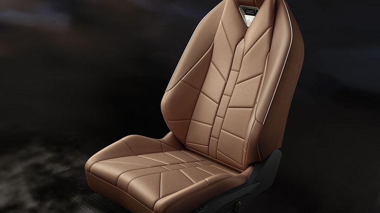 2024_12_NEW_DS_SEAT_ALEZAN_BROWN.jpg
