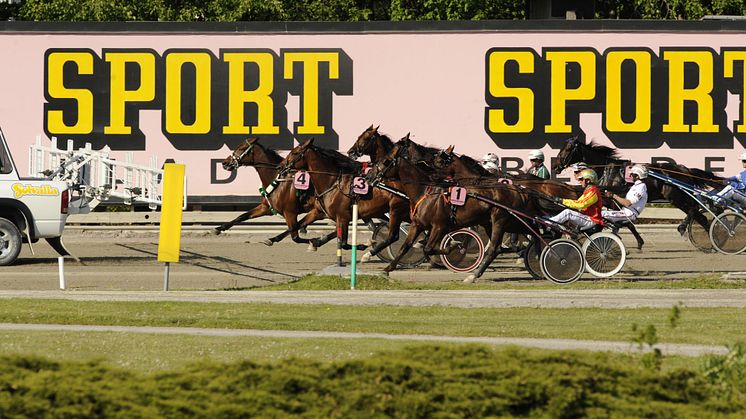 Sportbladet och Solvalla inleder samarbete