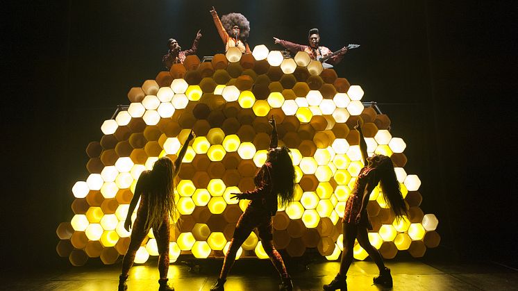 Hot Brown Honey - pressbild
