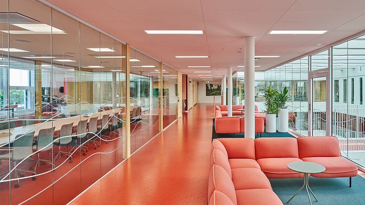 Styrelserum och lounge, MDH
