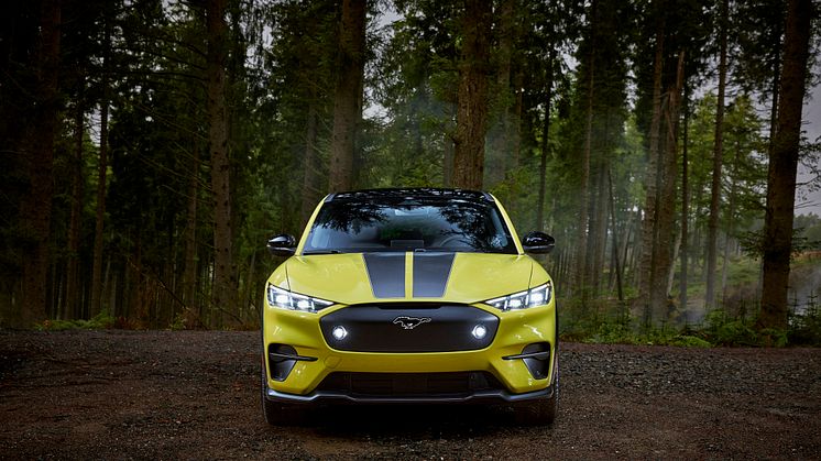 2023 FORD MACH-E RALLY  (19)