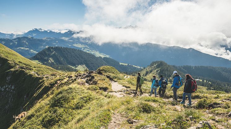 Wildtierbeobachtung auf dem Niederhorn © Schweiz Tourismus