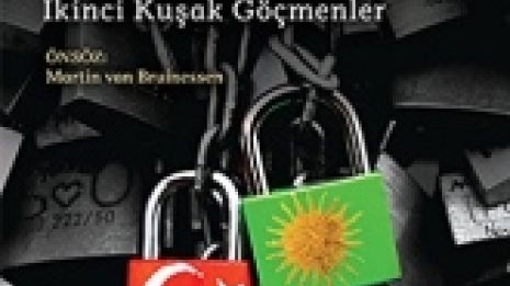 Konflikten mellan andra generationens turkiska och kurdiska invandrare i Sverige och Tyskland